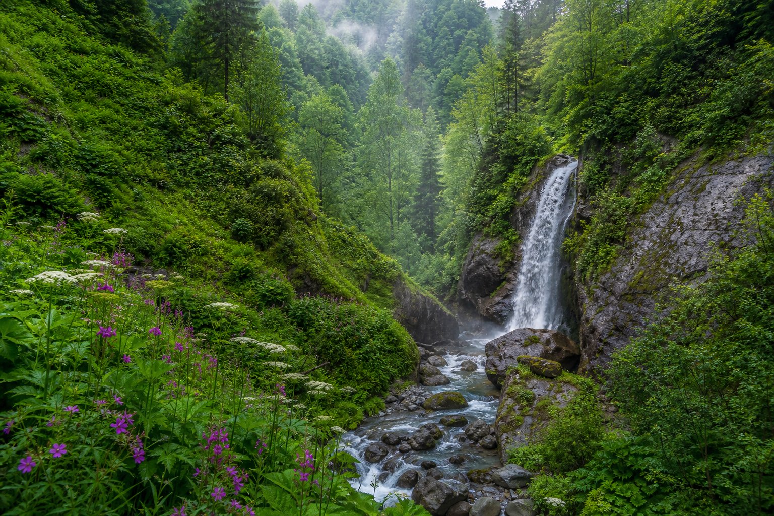 Karadeniz ormanında şelale ve yeşillik